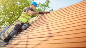 Best Roof Inspection  in Riverview, DE