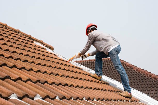  Riverview, DE Roofing repair and installation Pros