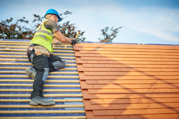 Best Skylight Installation and Repair  in Riverview, DE